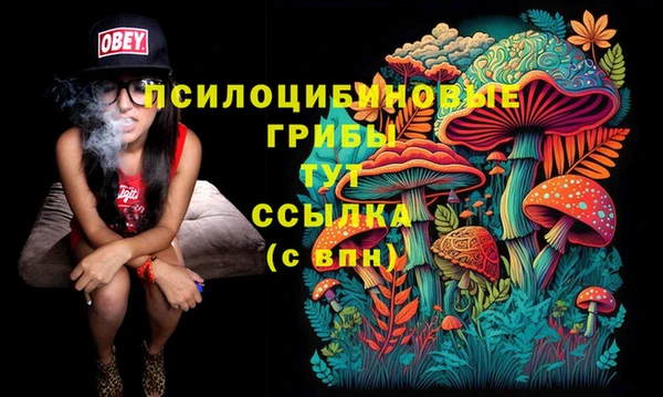 мескалин Аркадак