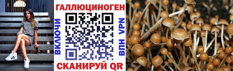 купить наркотик  omg как войти  дарк нет наркотические препараты  Островной  Псилоцибиновые грибы мицелий 